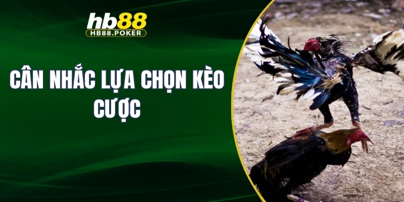 Cân nhắc lựa chọn kèo cược