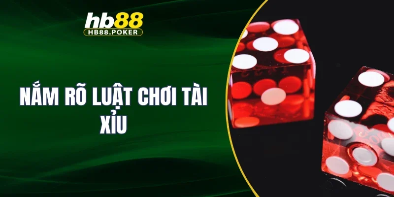 Nắm rõ luật chơi tài xỉu