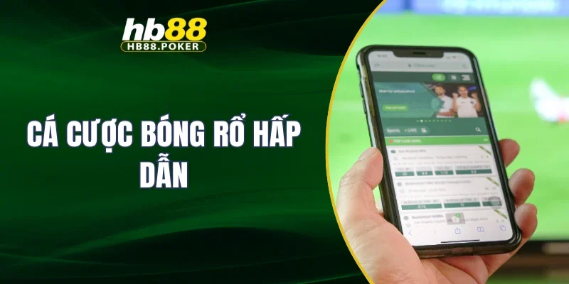 Cá cược bóng rổ hấp dẫn
