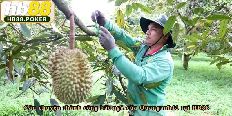 Câu chuyện thành công bất ngờ của Quanganh11 tại HB88