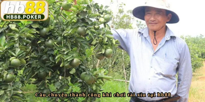 Câu chuyện thành công khi chơi tài xỉu tại hb88