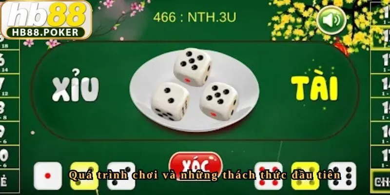 Quá trình chơi và những thách thức đầu tiên