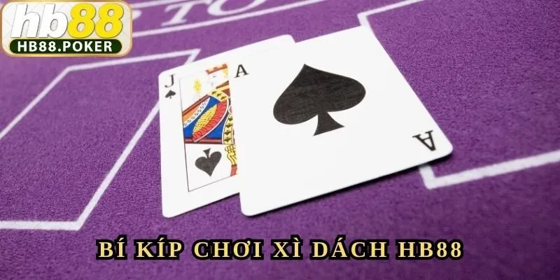 Không chạy theo cảm xúc