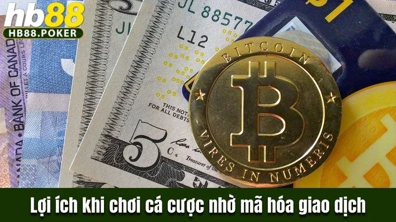 Tìm Hiểu Nhà Cái Hb88 Có Áp Dụng Mã Hóa Giao Dịch Không? 2 Lợi ích khi chơi cá cược tại nhà cái nhờ mã hóa giao dịch
